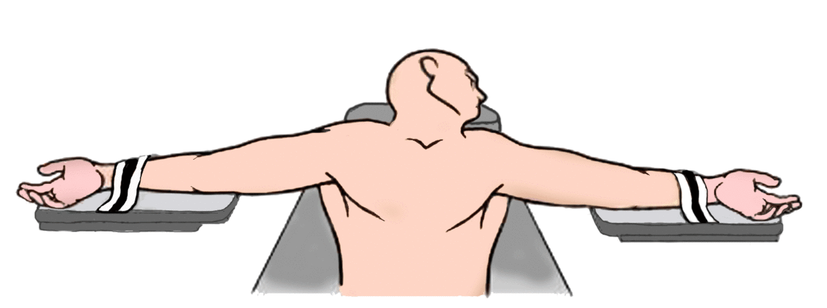 File:Supine position.gif - Wikimedia Commons