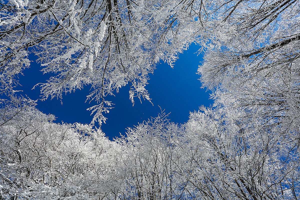 Tbilisi National Park4.jpg