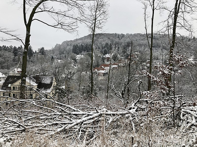 File:Teutoburger Wald 2020.jpg