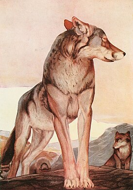 Рисунок 1895 года работы Джона Локвуда Киплинга