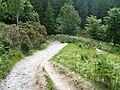 Thumbnail for File:The descent from Latrigg (12) - geograph.org.uk - 6214748.jpg