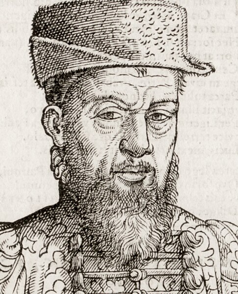 File:Theodorus Zwingerus Basiliensis, medicus (détail).jpg