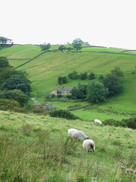 File:Throstle Nest - geograph.org.uk - 956664.jpg