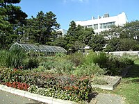 東邦大学薬学部薬用植物園