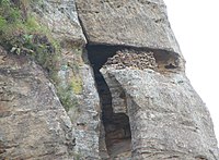 Mouth of a cave, largely sealed off by stacked stones