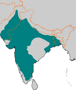 Tughlaq dynasty of Delhi.png