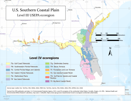 Map of the Southern Coastal Plain's Level IV ecoregions US Southern Coastal Plain ecoregion map.svg