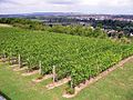 Vignette pour Vignoble d'Île-de-France