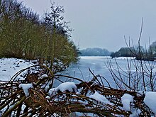 Le parc en hiver