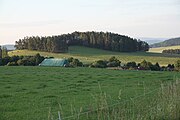 Radějovicemi]]. Okres Strakonice, Jihočeský kraj. English: Hill Vrch (564 m a.s.l.) above the village of Radějovice, Strakonice District, South Bohemian Region, Czechia.