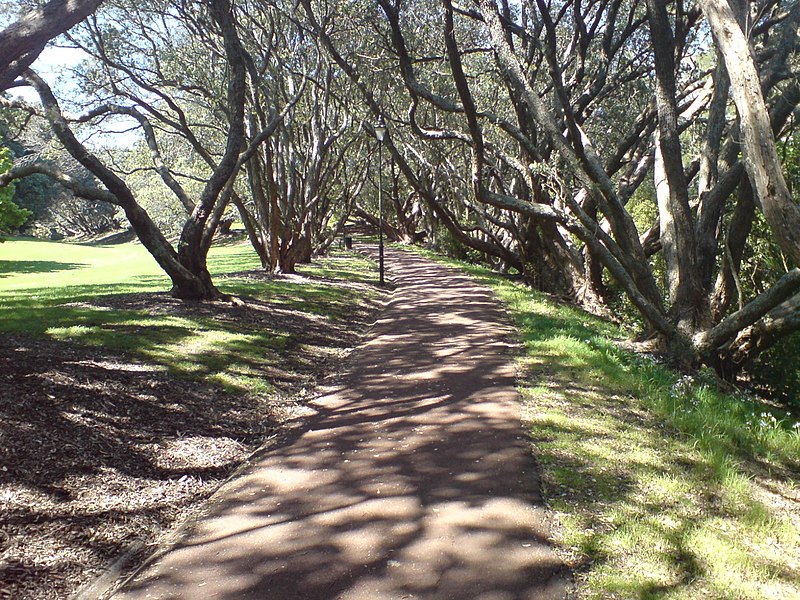 File:Walking Path In The Auckland Domain.jpg