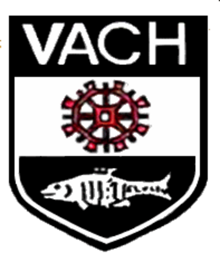 Wappen Vach