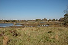 Protection of wetlands and small streams is a major focus of the Clean Water Rule Wetland restoration under the Wetlands Reserve Program in Texas (24743622129).jpg