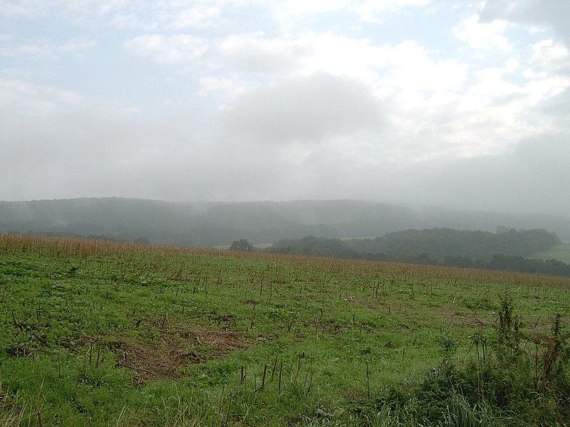 File:Wiehengebirge mit Nebel.JPG