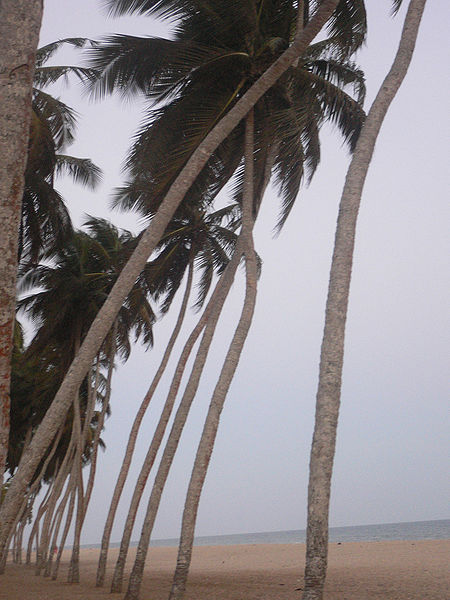 File:Winneba Beach, Ghana-5.jpg