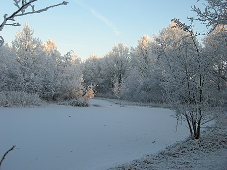 Winterwonder Gorzenpark