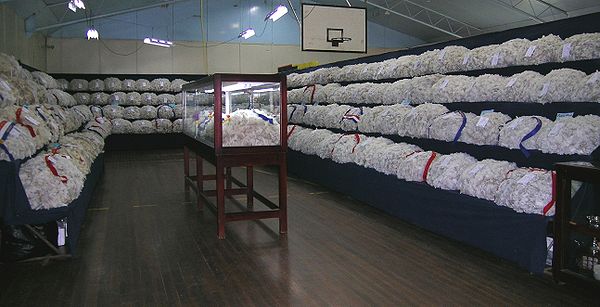 Wool display, Walcha show.