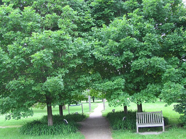 ArboretumUniversitas Guelph