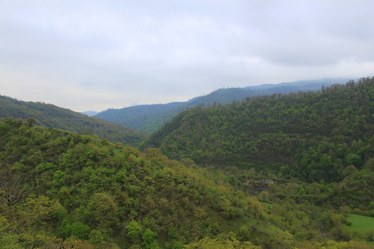 Талышские леса Азербайджан