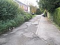 "Ruby" out walking in alley leading to Dances Lane - geograph.org.uk - 602694.jpg