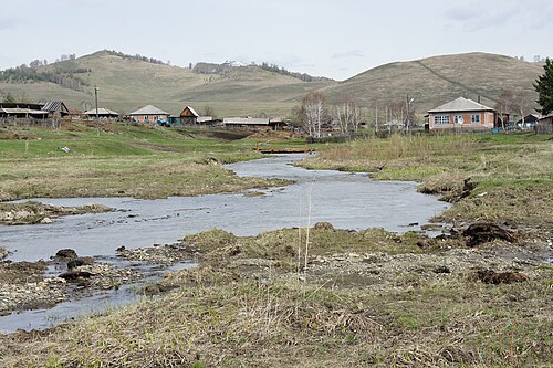 Село степное алтайский край. Туманово, село, Солонешенский, район,. Туманово Солонешенский район. Село Туманово Алтайский край. Село Туманово Солонешенского района Алтайского края.