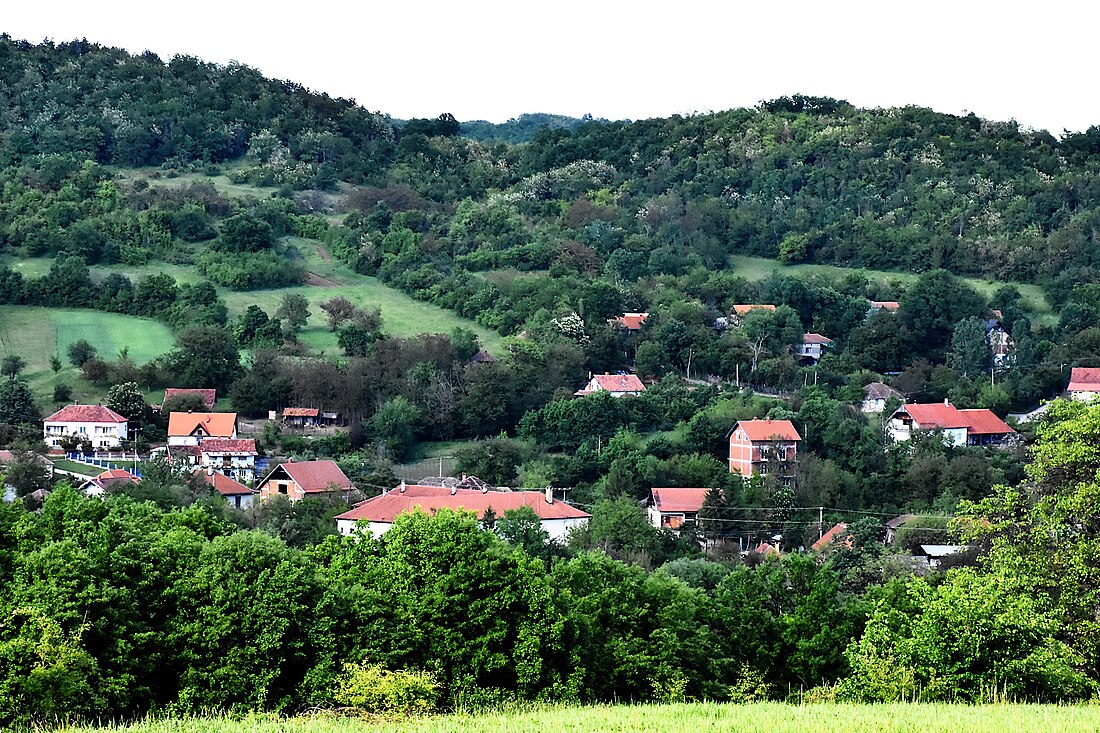 Šarbanovac (Bor)