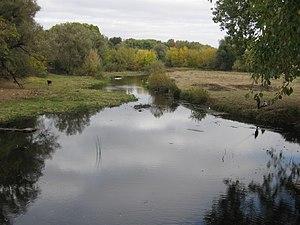 Річка Мика в Радомишлі на Житомирщині.jpg