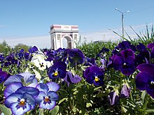 Nalchik Arc De Triumph