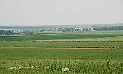 Вид на поле и село Шкинь с путей БМО