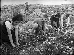 נטיעת חורשה בקרית ענבים לזכר עמנואל קיפר ז"ל על ידי חבריו בגמנסיה הרצליה, 1937