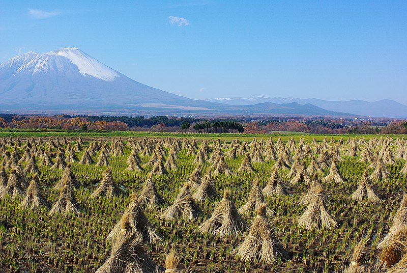 File:玉山からの岩手山と八幡平 Mt. Iwate ^ Hachimantai Plateau from Tamayama - panoramio.jpg