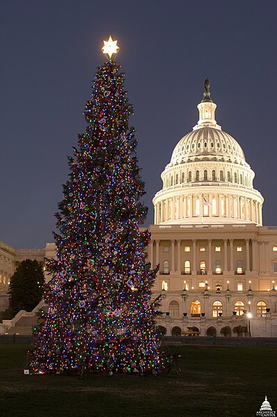 File:2006 U.S. Capitol Christmas Tree (30995523543).jpg