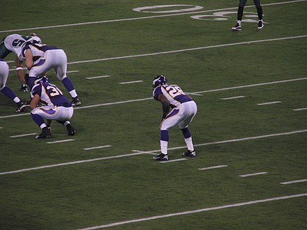 Peterson in a 2008 NFC Wild Card game against the Philadelphia Eagles
