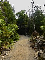 Thumbnail for File:20150704 - 049 - Flowerpot Island, Fathom Five National Marine Park, Ont. - Loop Trail.jpg