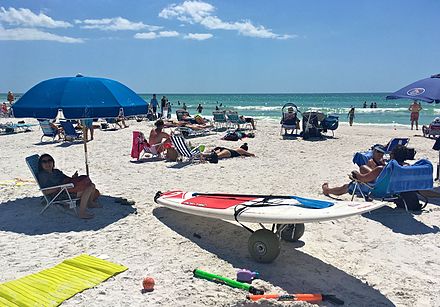 Paddleboard and paddle on the beach at Siesta Key