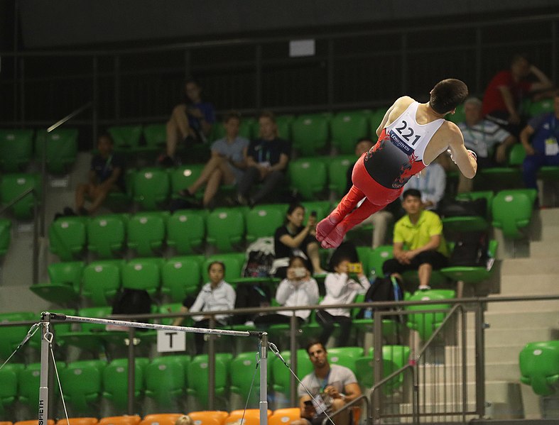 File:2019-06-27 1st FIG Artistic Gymnastics JWCH Men's All-around competition Subdivision 3 Horizontal bar (Martin Rulsch) 239.jpg