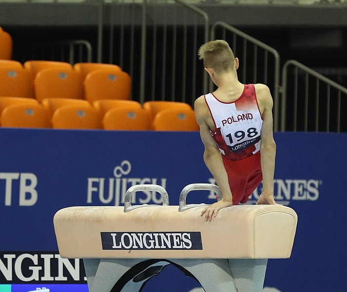 File:2019-06-27 1st FIG Artistic Gymnastics JWCH Men's All-around competition Subdivision 3 Pommel horse (Martin Rulsch) 259.jpg