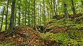 v.li.n.re.: Wall, Halsgraben mit Versturz und Burgfelsen