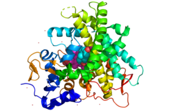 21-hydroxylase subeenheid.png