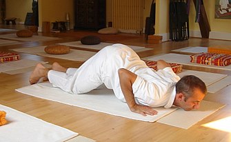 6Ashtanga Namaskara.JPG