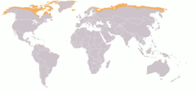 mapa ukazující arktickou tundru
