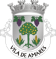 Amares - Escudo de armas