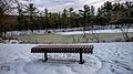 A bench on the snow.jpg