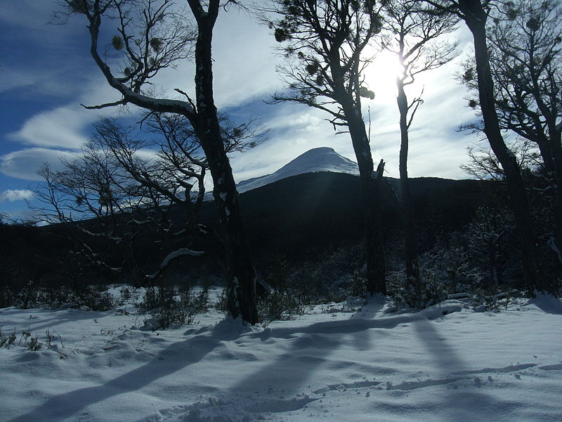 File:A tus sombras rendida.JPG