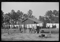 A washline, instead of hanging the clothes on a fence or the bushes, in Nolan Pettway's backyard, Gees Bend, Alabama LCCN2017753822.tif