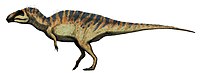 Acrocanthosaurus restoration.jpg