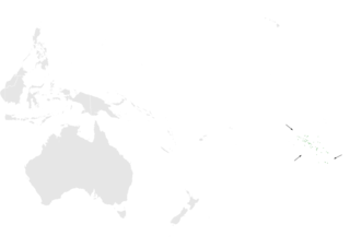 Tuamotu reed warbler