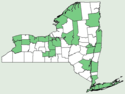 Agastache nepetoides NY-dist-map.png