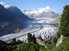 The Aletsch Glacier with pine trees growing on the hillside (2007; the surface is 180 m (590 ft) lower than 150 years ago) Aletschgletscher mit Pinus cembra1.jpg