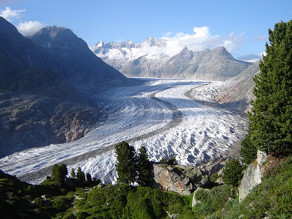 The Aletsch Glacier, largest in the Alps